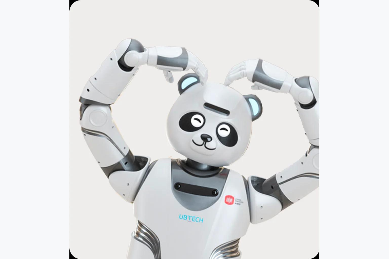 Ubtech Panda Robot