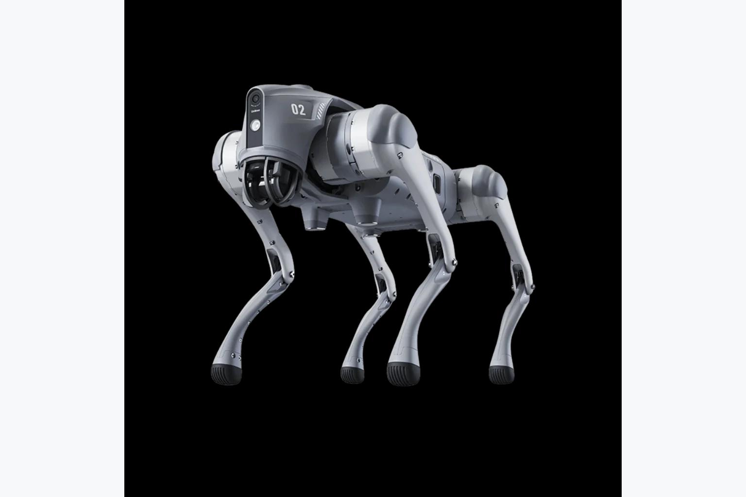 Unitree Go2 Roboterhund