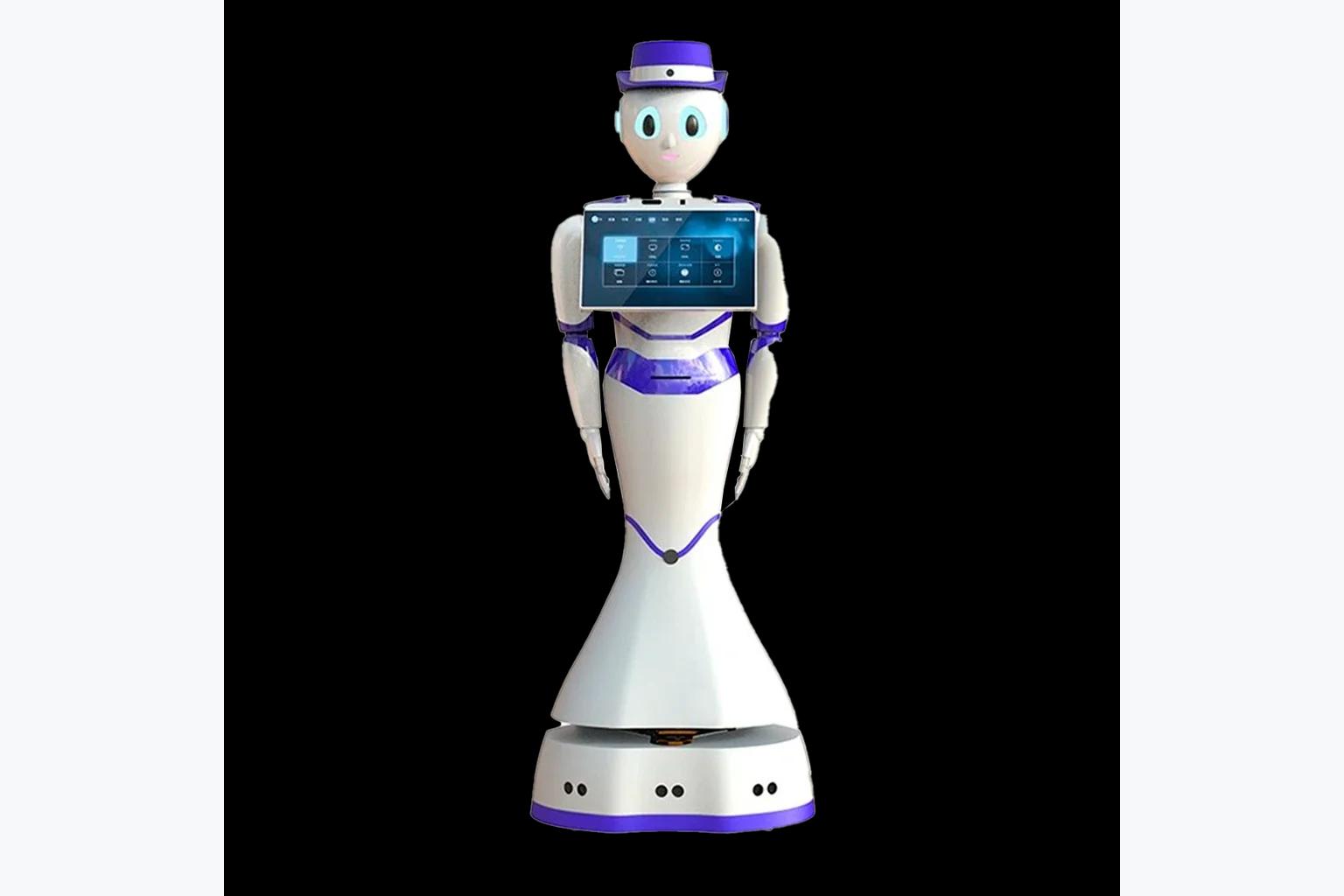 Робот промоутер Reeman Humanoid Robot